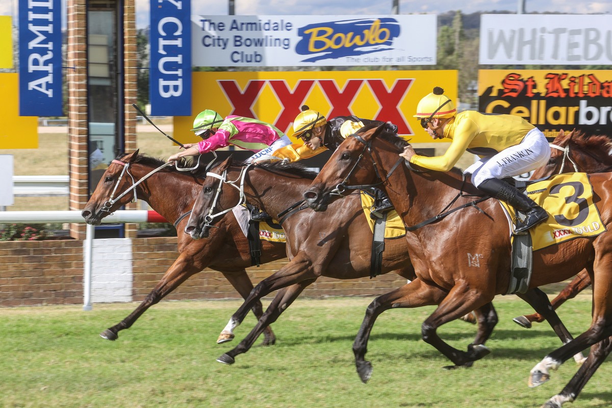 armidale jockey club - events